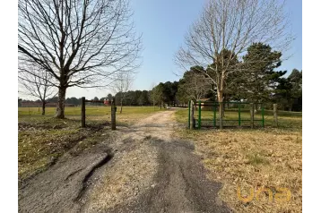 Terreno/Área - São Luiz do Purunã