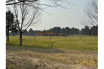 Terreno/Área - São Luiz do Purunã