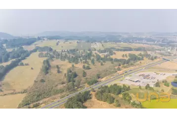 Fazenda - São Luiz do Purunã 