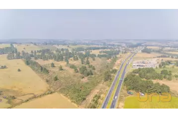 Fazenda - São Luiz do Purunã 