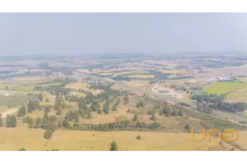 Fazenda - São Luiz do Purunã 