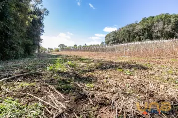 Chácara no Ferraria - Passaúna