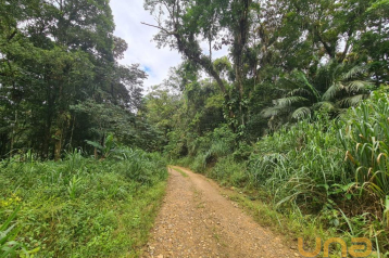Terreno à venda, 21196 m² por R$ 170.000,00 - Sambaqui - Morre
