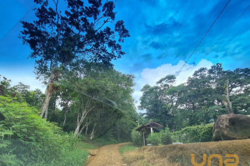 Terreno à venda, 21196 m² por R$ 170.000,00 - Sambaqui - Morre