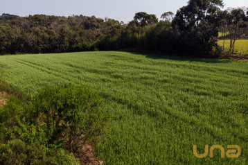 TERRENO COM ÁREA TOTAL 25.073,41m² - COLÔNIA RIVIERI/CAMPO LAR