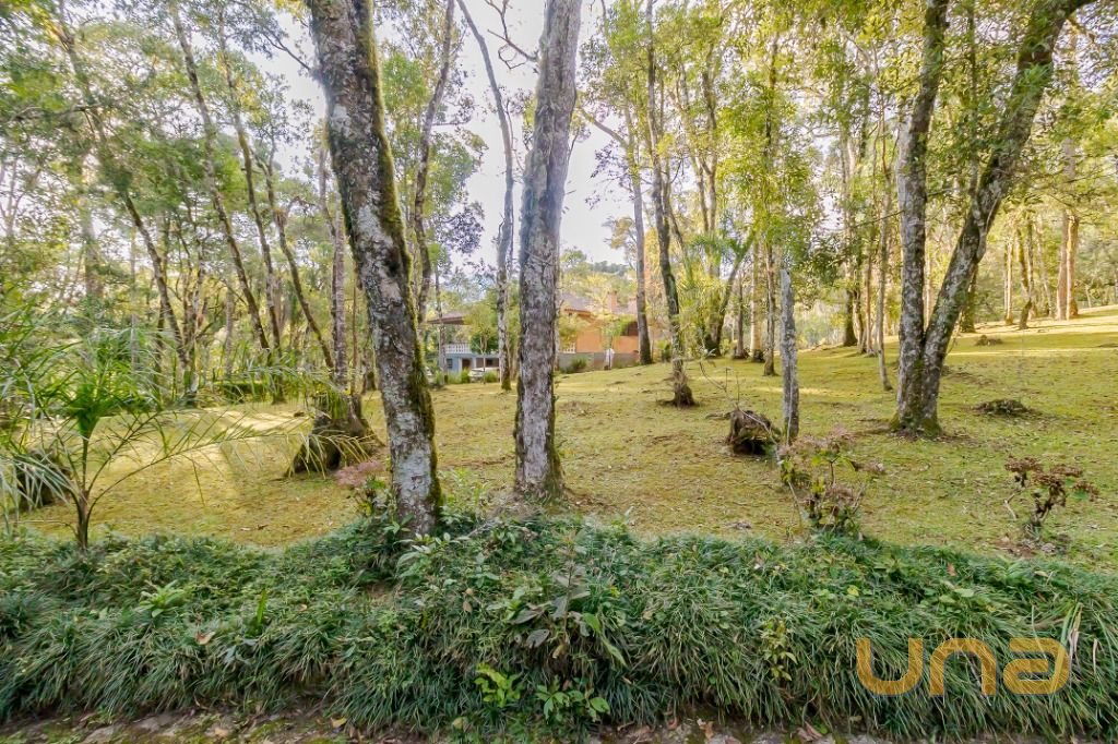 Foto 61