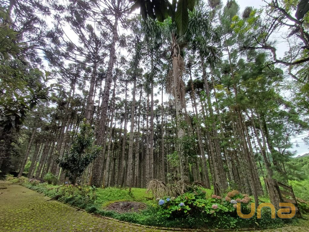 Foto 64