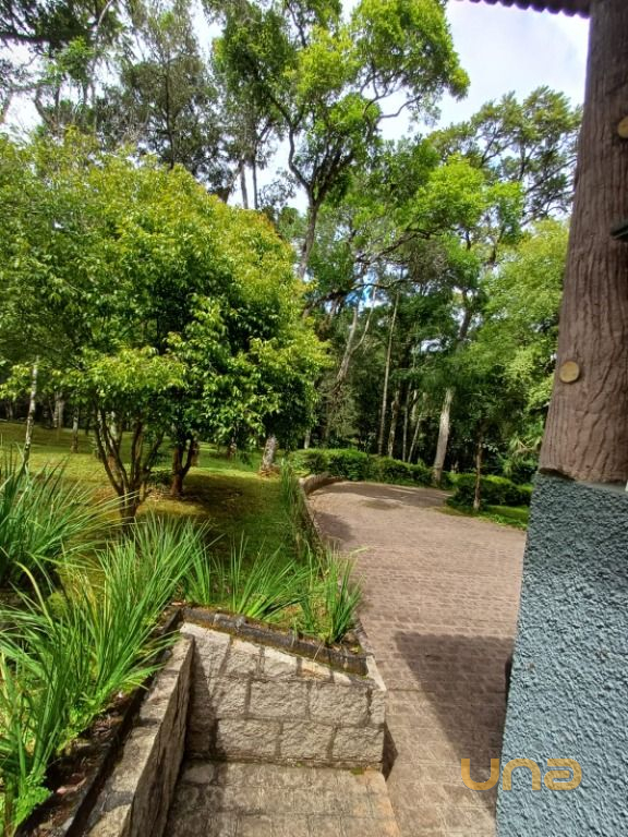 Foto 84